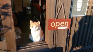 台東区谷中の『カフェ猫衛門』でまったり絵付け体験🐈