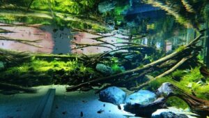 世界の生き物たちとふれあえる♪『カワスイ』で癒しの時間