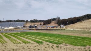 子供心をくすぐる農場『クルックフィールズ』へ♪