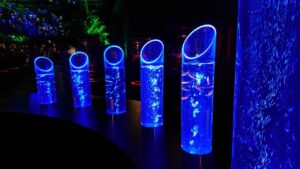 『アートアクアリウム美術館　GINZA』の金魚たちと季節の思い出づくり♪