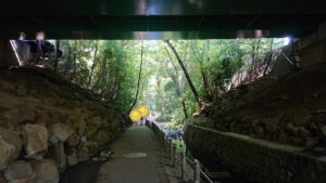 23区内唯一の渓谷『等々力渓谷』を散策～涼しさに感動～