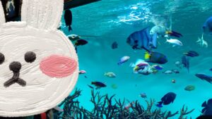 『葛西臨海水族園』で雨の日デート♪～クロマグロに感動～