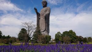 動物や花畑も♪遊び場いっぱいの『牛久大仏』で散歩デート
