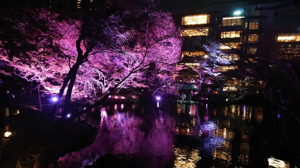 夜の『八芳園』でお花見デート♪～東京桜ガーデン・スプリング