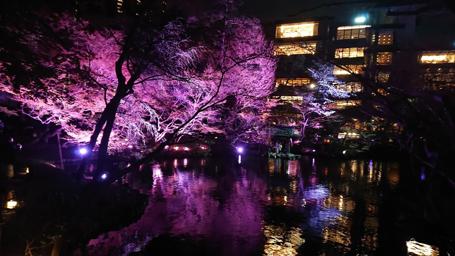 夜の『八芳園』でお花見デート♪～東京桜ガーデン・スプリングフェスティバル2023～