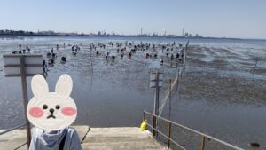 恋人の聖地『中の島公園』でアサリ獲り♪～『木更津海岸潮干狩場』へ～