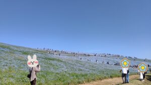 5月の『ひたち海浜公園』はネモフィラ畑が見頃♪みはらしの丘を散歩