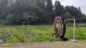 直売所だけじゃない『成田ファームランド』でプリンを食べてホタル観賞♪