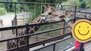 どっちを見ても動物だらけ♪『サユリワールド』でのんびりキリンに餌やり体験