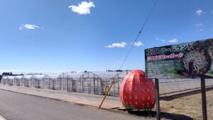 『成田ファームランド』で秀じいのいちご狩り体験♪