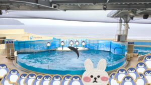 『新江ノ島水族館』へドライブ♪～雨の日は空いてる穴場デートスポット～