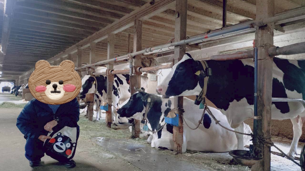 雨の日に体験できるコンテンツ沢山♪『服部牧場』でソフトクリームもジェラートも食べてきた！