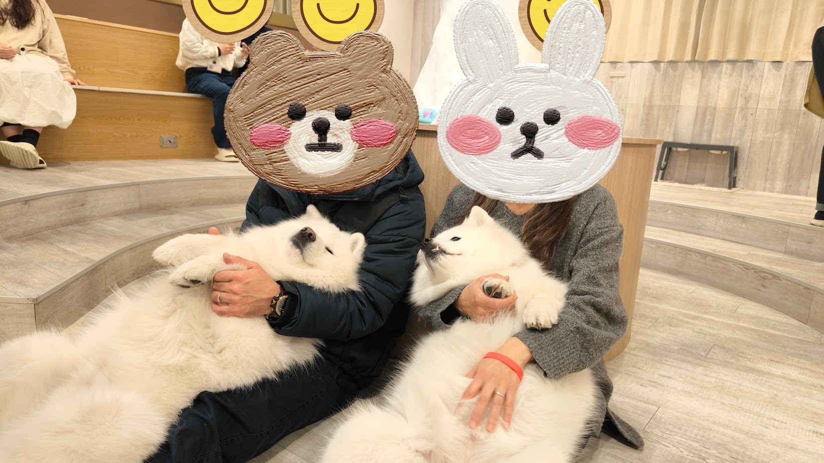 子供もカップルも外人も遊べる『サモエドカフェ・モフ（moffu）原宿店』で抱っこ撮影♪