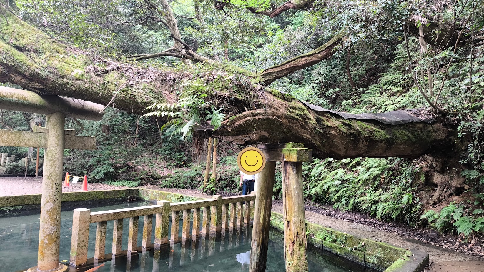 鹿と触れ合い湧水に癒される♪夏の『鹿島神宮』で参拝デート